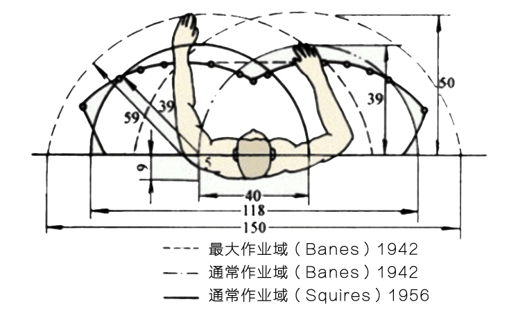 水平面内手臂活动及操作范围